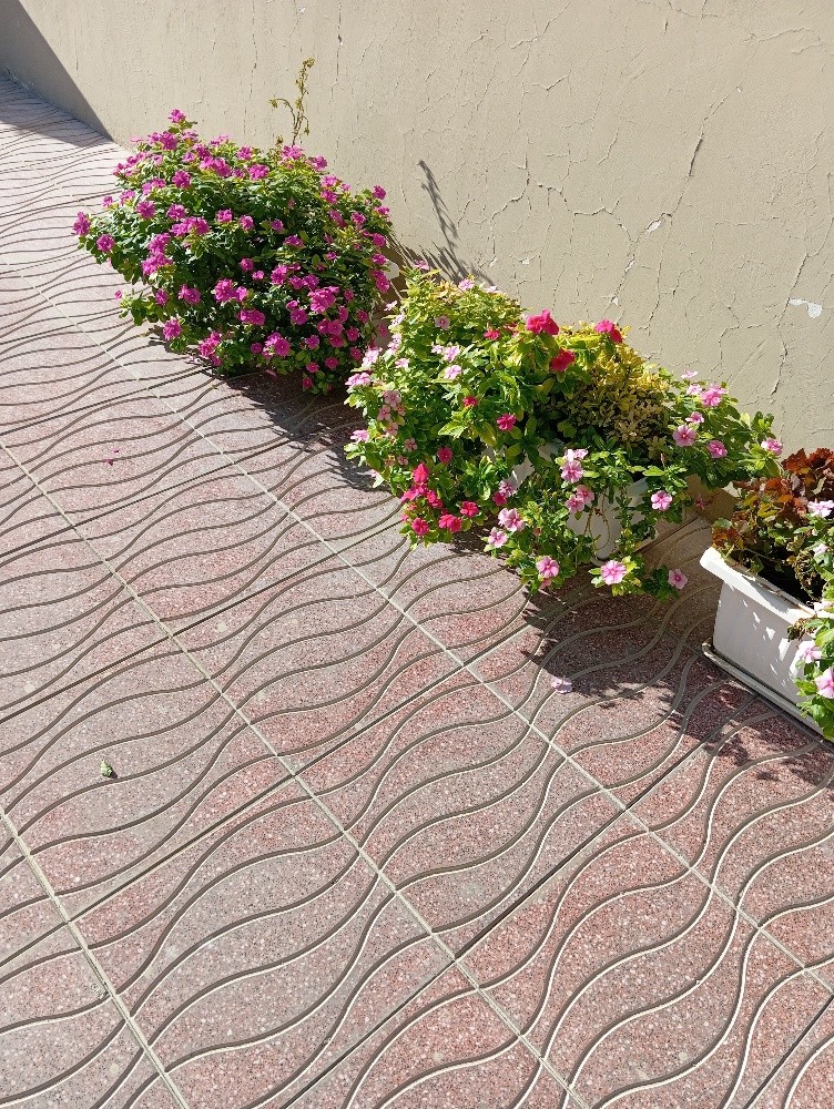 مزارع ومنسق حدائق - 4