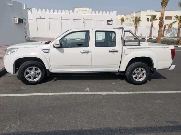 GREATWALL 2019 FOR SALE - 11