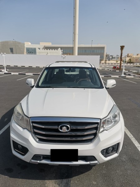 GREATWALL 2019 FOR SALE - 1