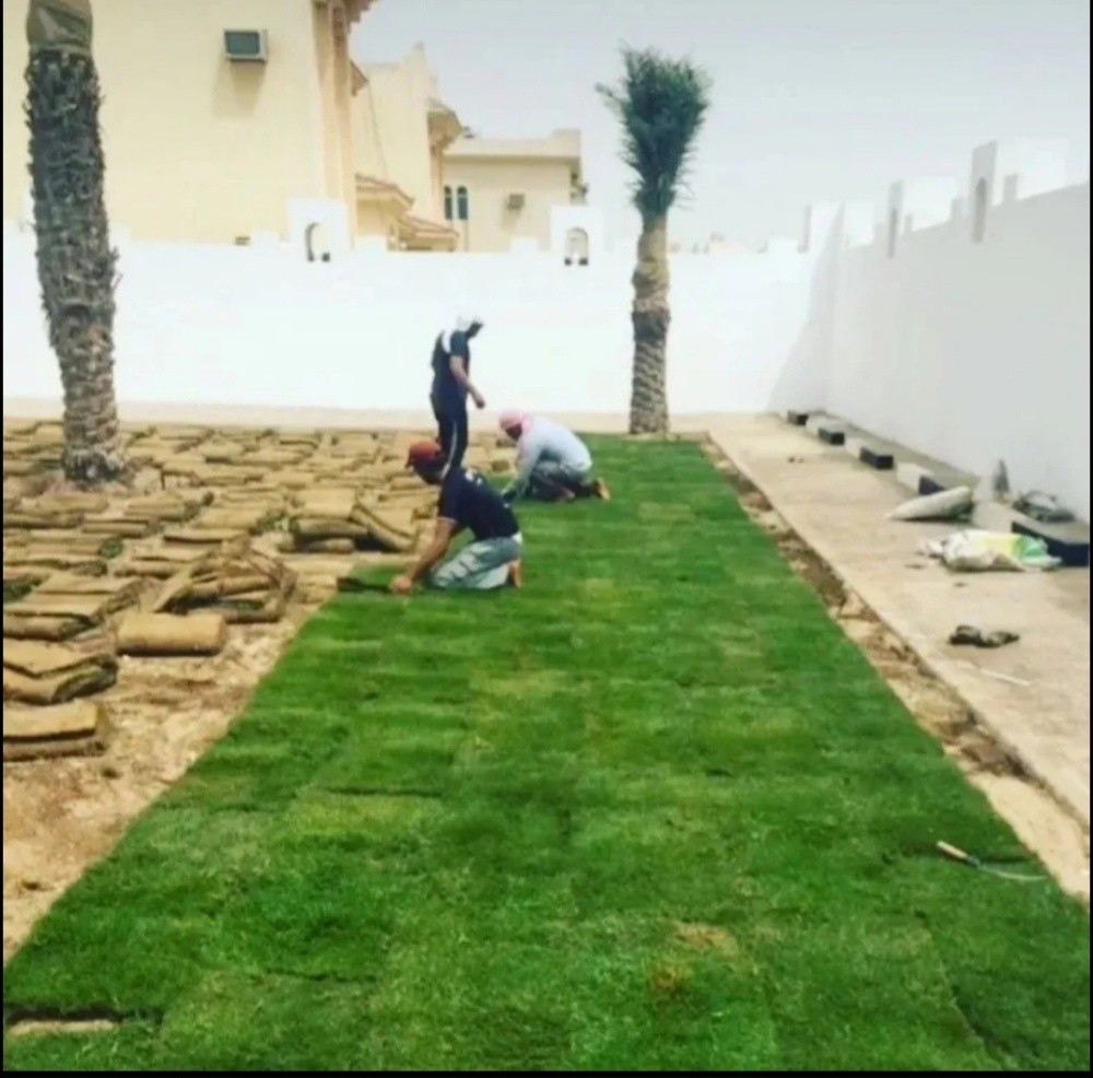 شركة زراعيه - 2