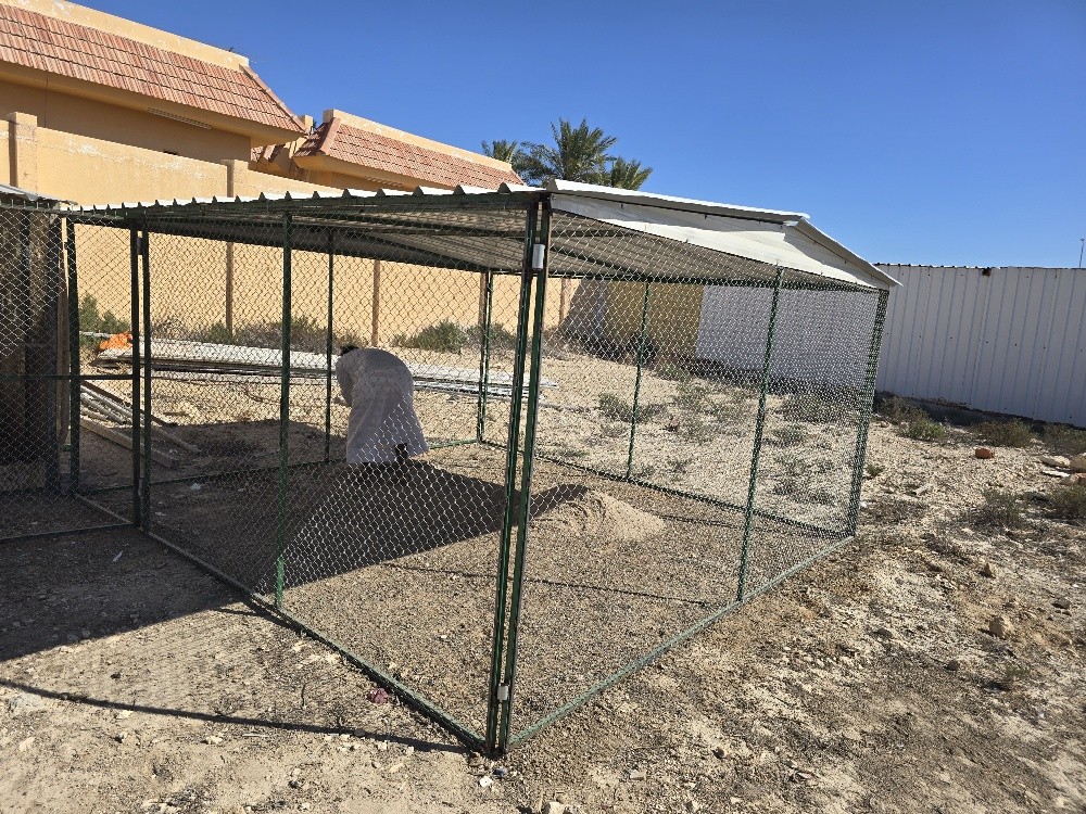4/4 Size Pigeon cage - 2
