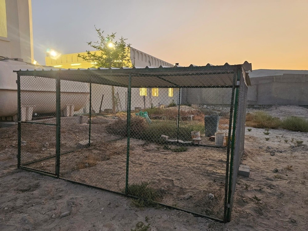 4/4 Size Pigeon cage - 4