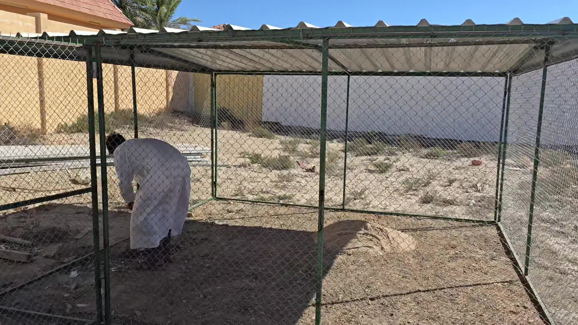 4/4 Size Pigeon cage - 1