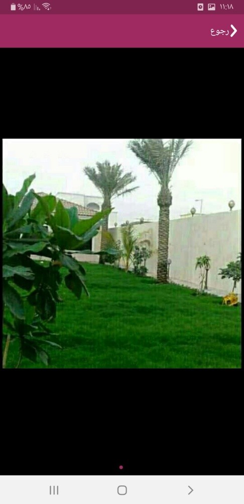 زراعة وديكور - 2