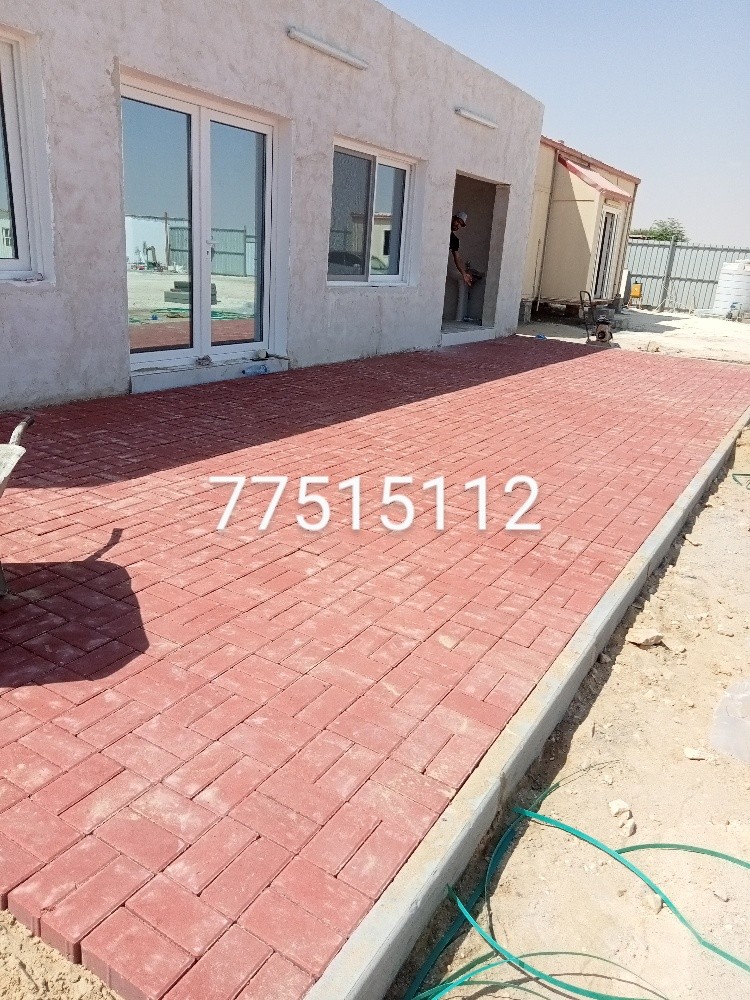 نخيل والوشنطنيا - 6