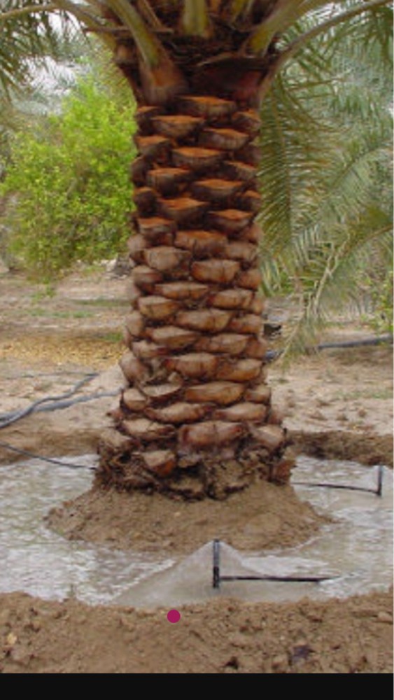 قطع لا شجار رزاعه خلع  ونقله ا - 5