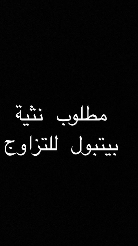 مطلوب نثية بيتبول للتزاوج - 1