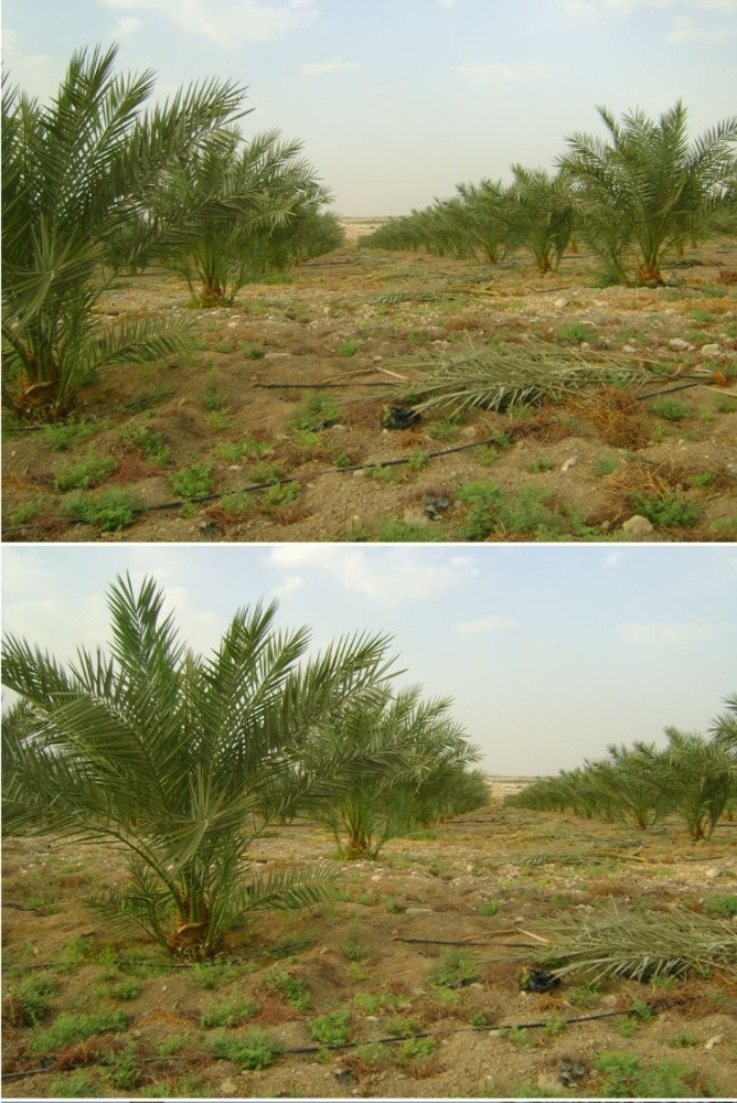 مرحبا بکم - 1