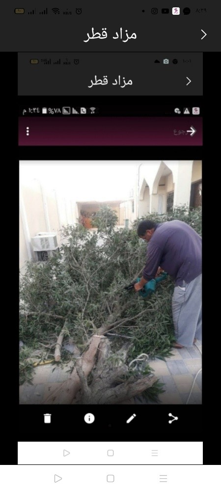 تقطيع الاشجار - 1
