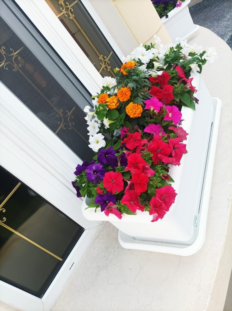 تنسيق الحدائق والعناية والمتابعة - 2