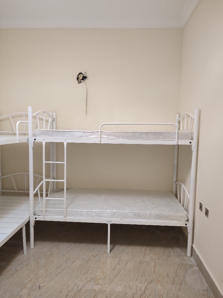 New White Bunk bed , Single bed - 1