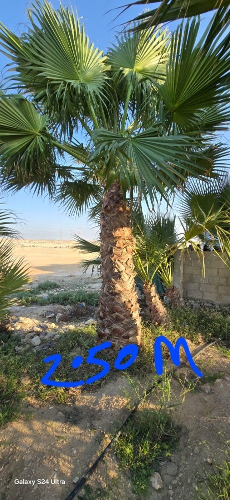 توفير جميع مستلزمات الحدائق - 3