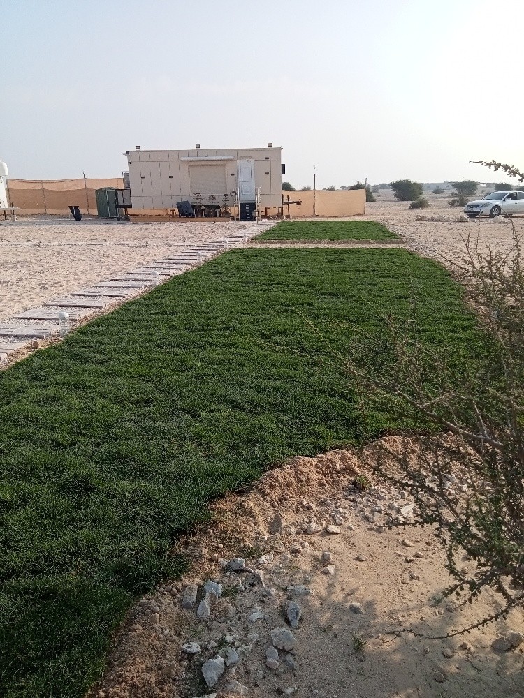 عشب - 3