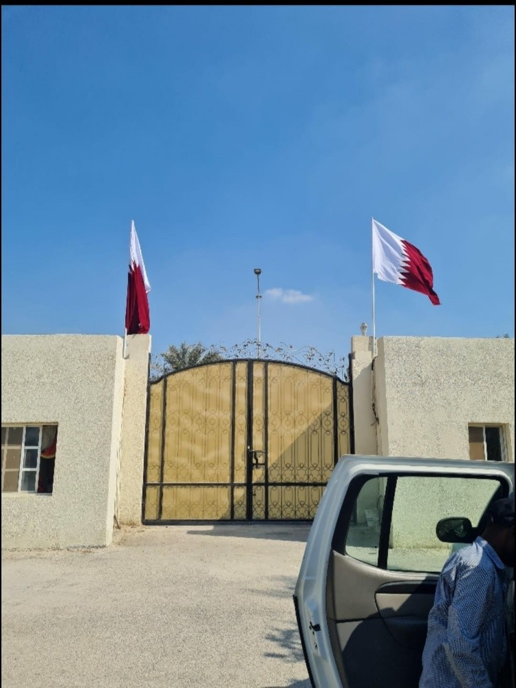 زينه اعلام لليوم الوطني صور بي في - 3