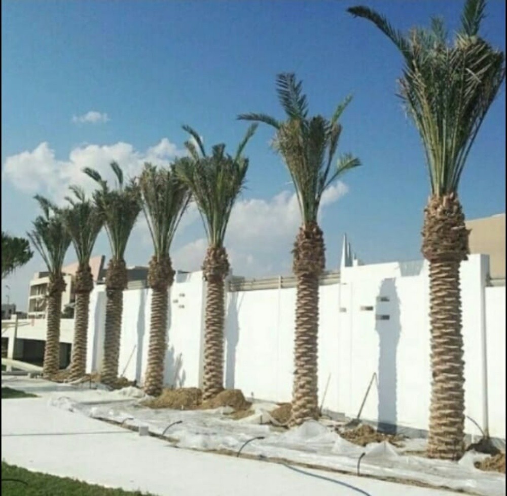 انترلوك ومجالس وابراج حمام - 8