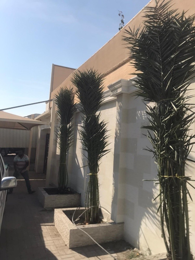 تنسيق - 14