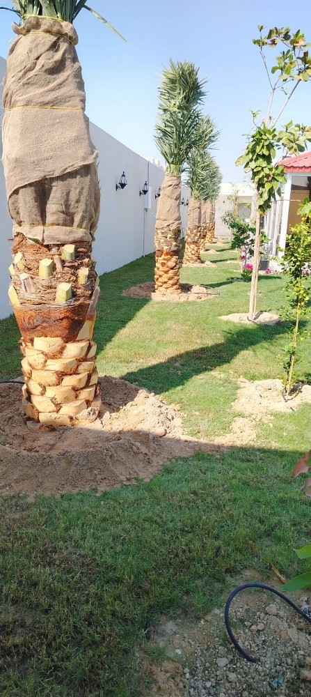 تنسيق - 5