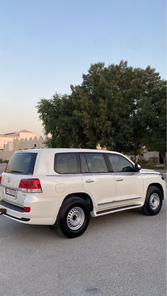 للبيع - 2