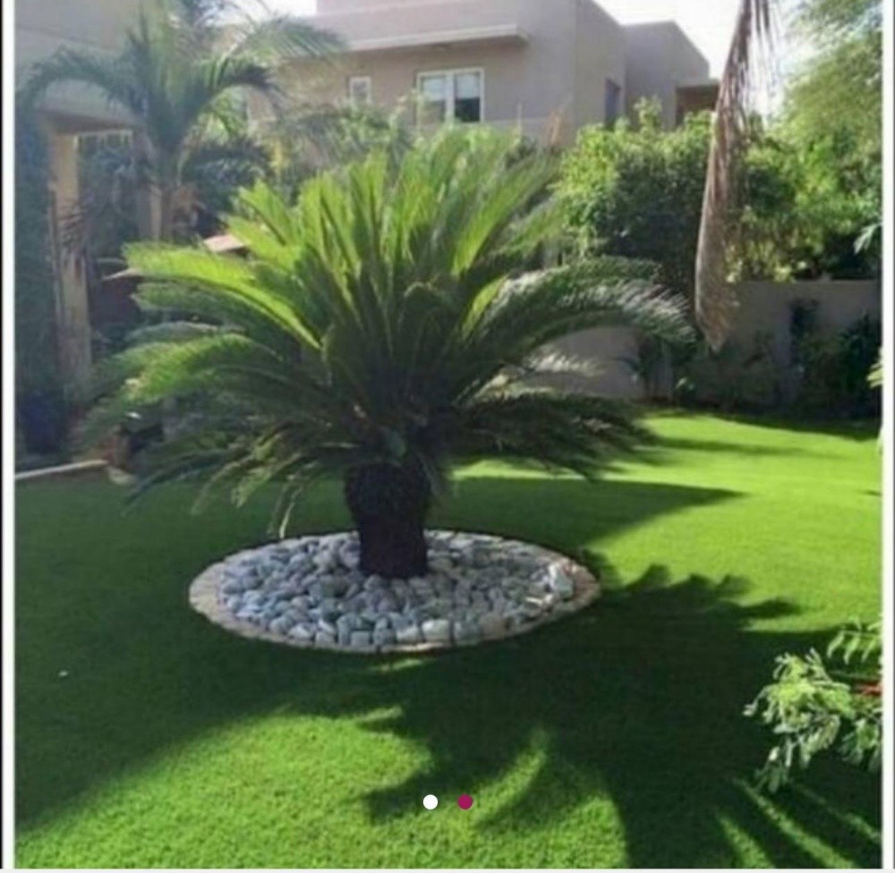 أعمال الزراعه - 9