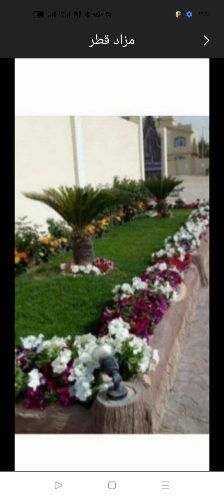 زراعة الفيلا والبيوت وشبكة الرى - 1