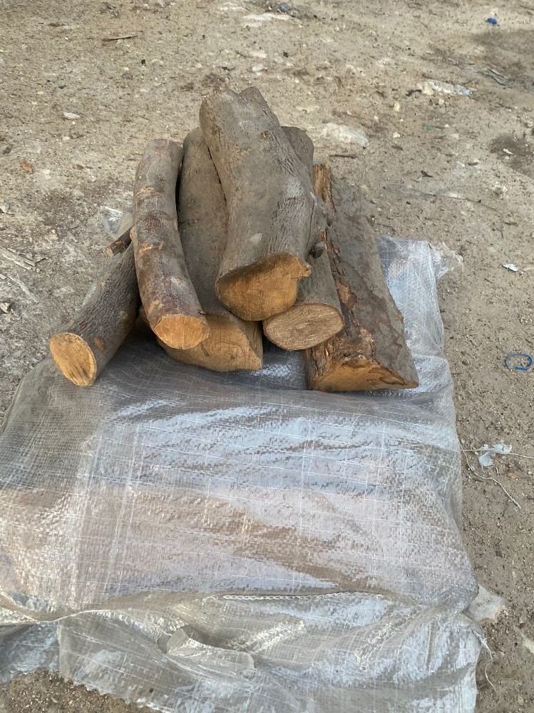حطب زيتون - 1