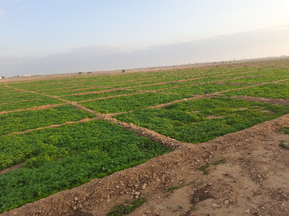 جهناميه وليتات الزينه - 10