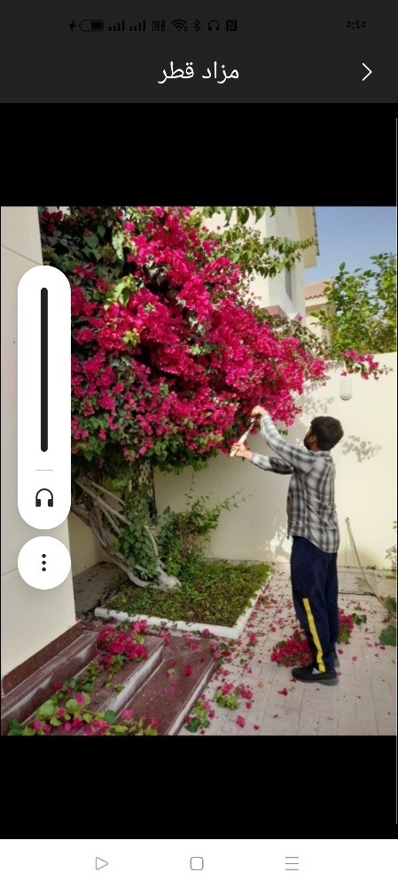 صيانه الحديقة وشبكة الرى - 1