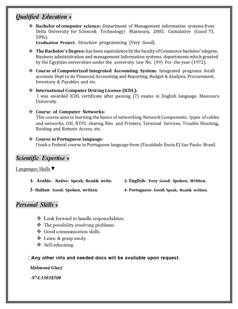 IT Specialist - 4
