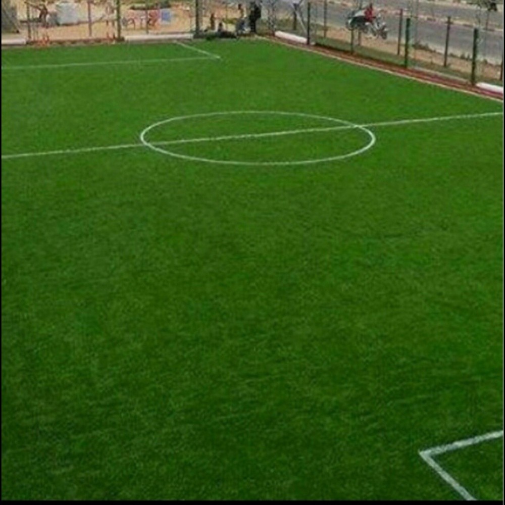 عشب صناعي. - 1