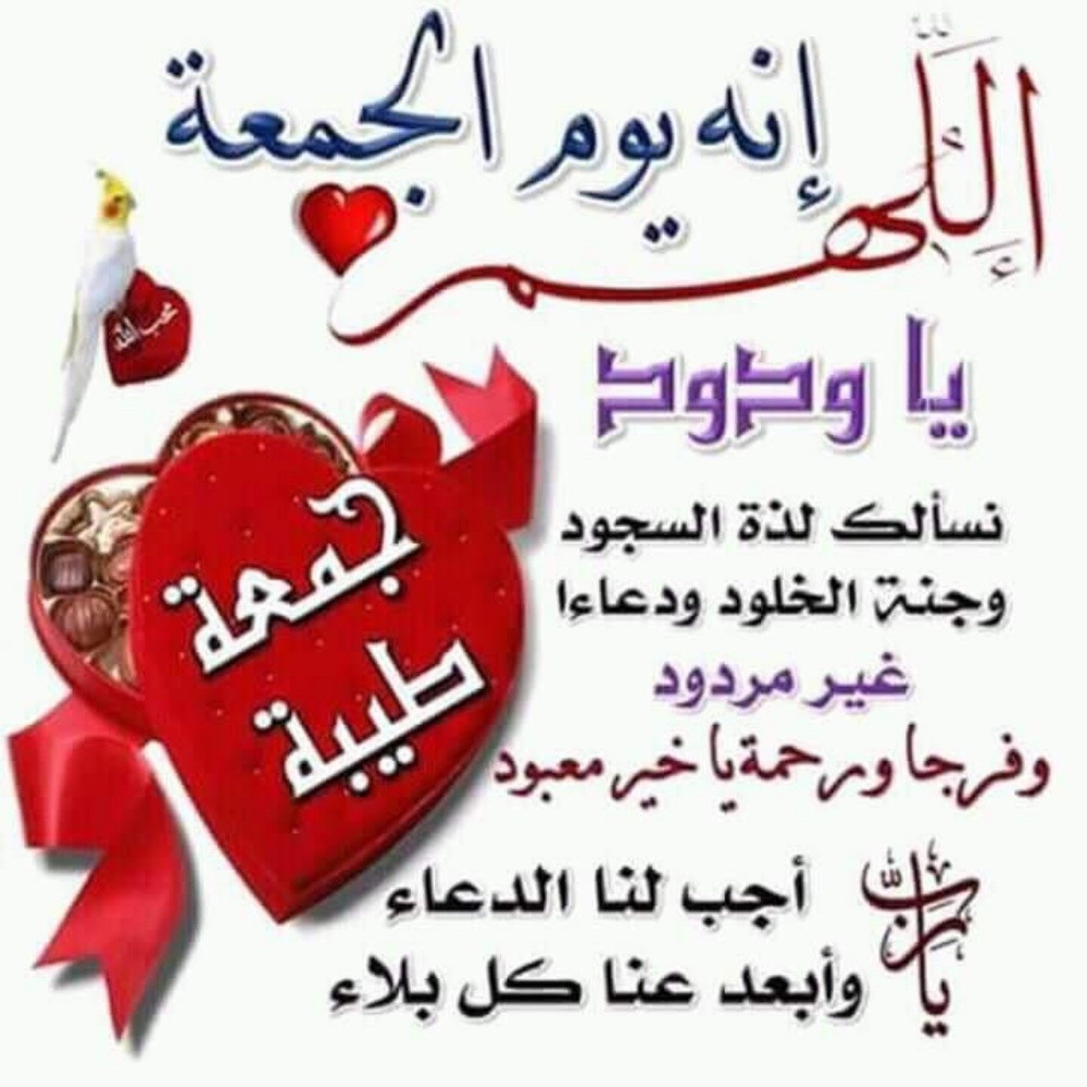 خطاط وتعليم الخط العربي - 1
