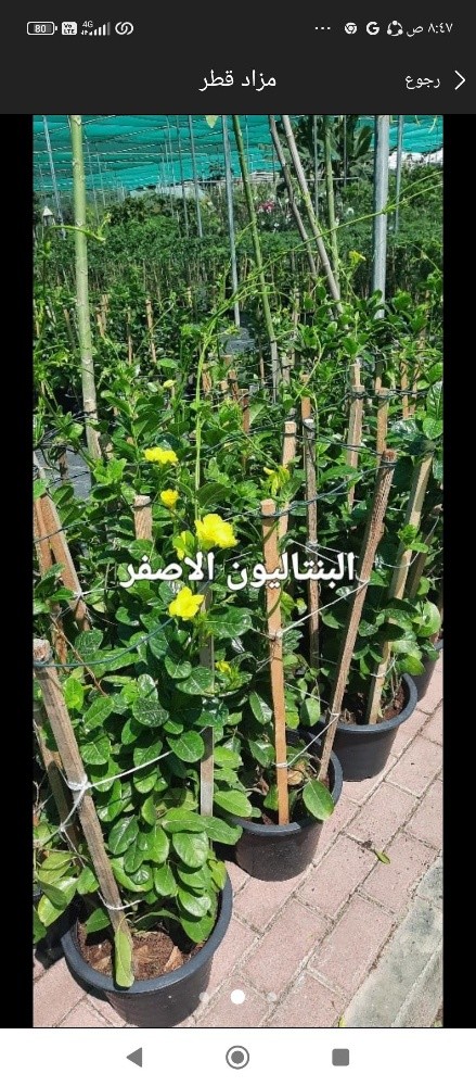 توريد وتركيب - 4