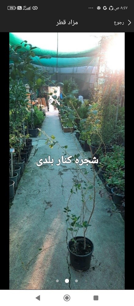 توريد وتركيب - 9