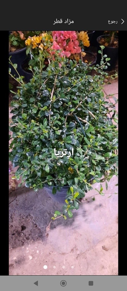 توريد وتركيب - 10