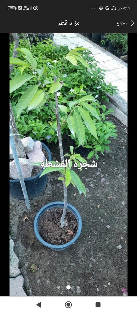 توريد وتركيب - 13