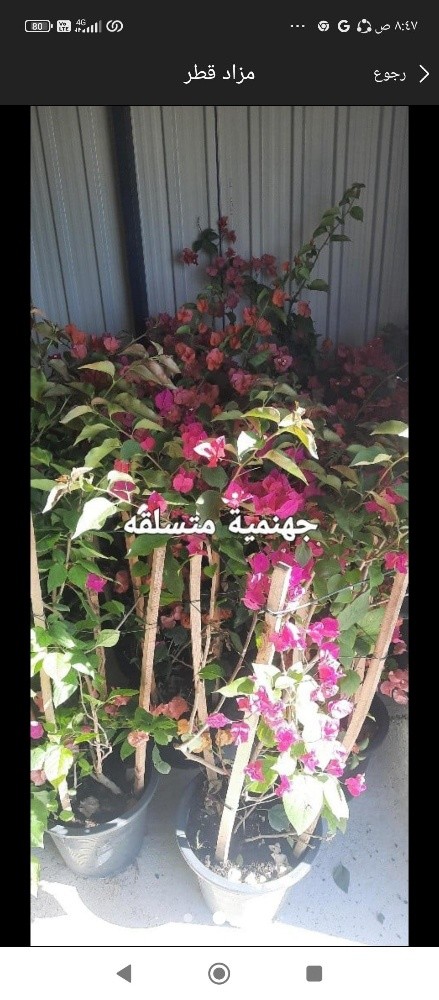 توريد وتركيب - 2