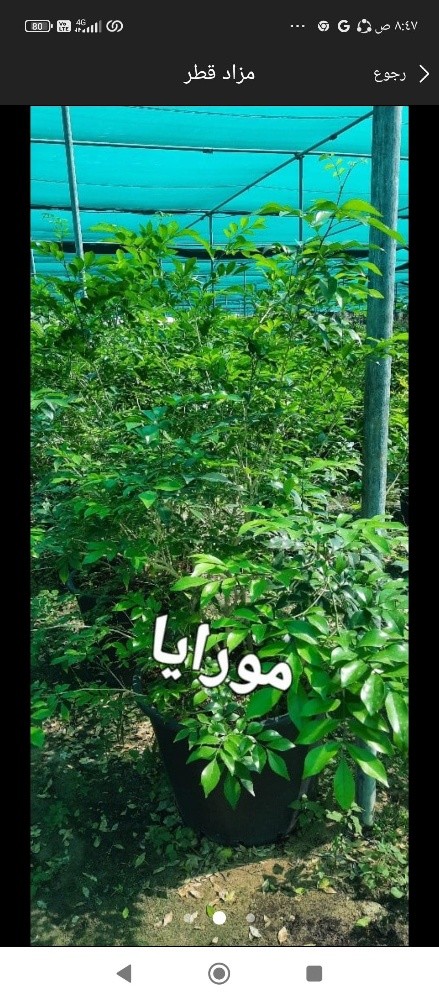 توريد وتركيب - 8