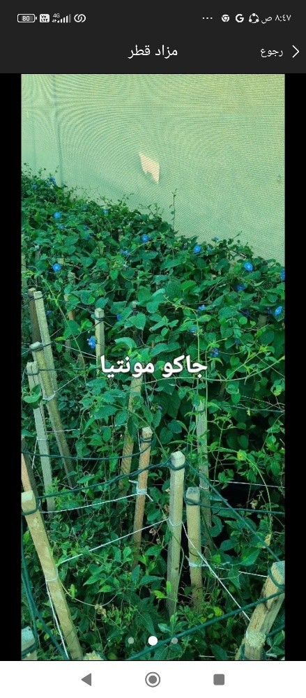 توريد وتركيب - 7