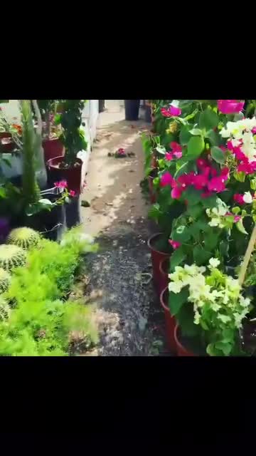 مزارع - 1
