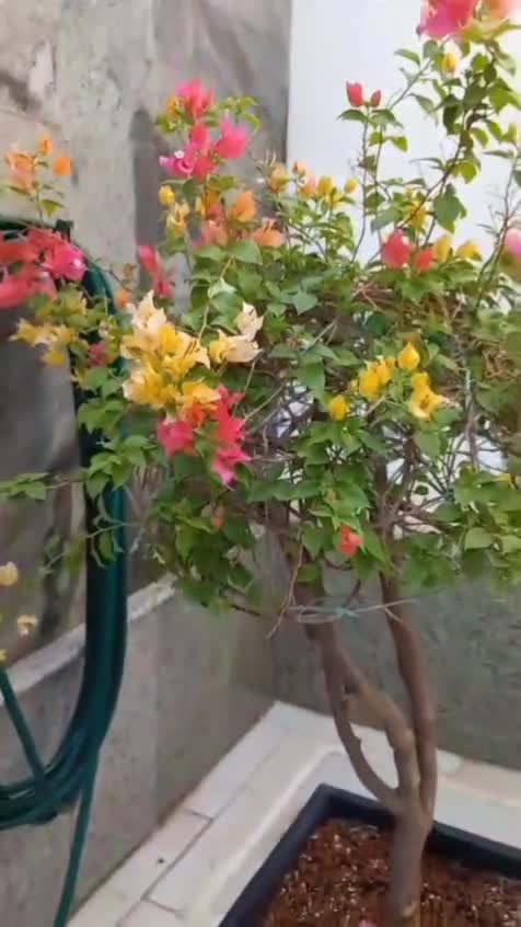 مزارع - 1