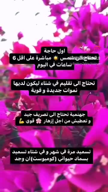 مزارع - 1