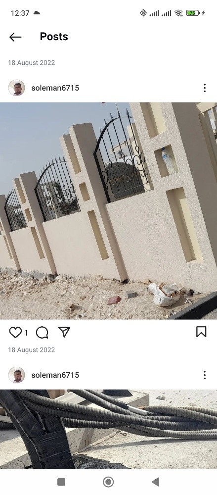 اعمال العزل والصبغ - 9