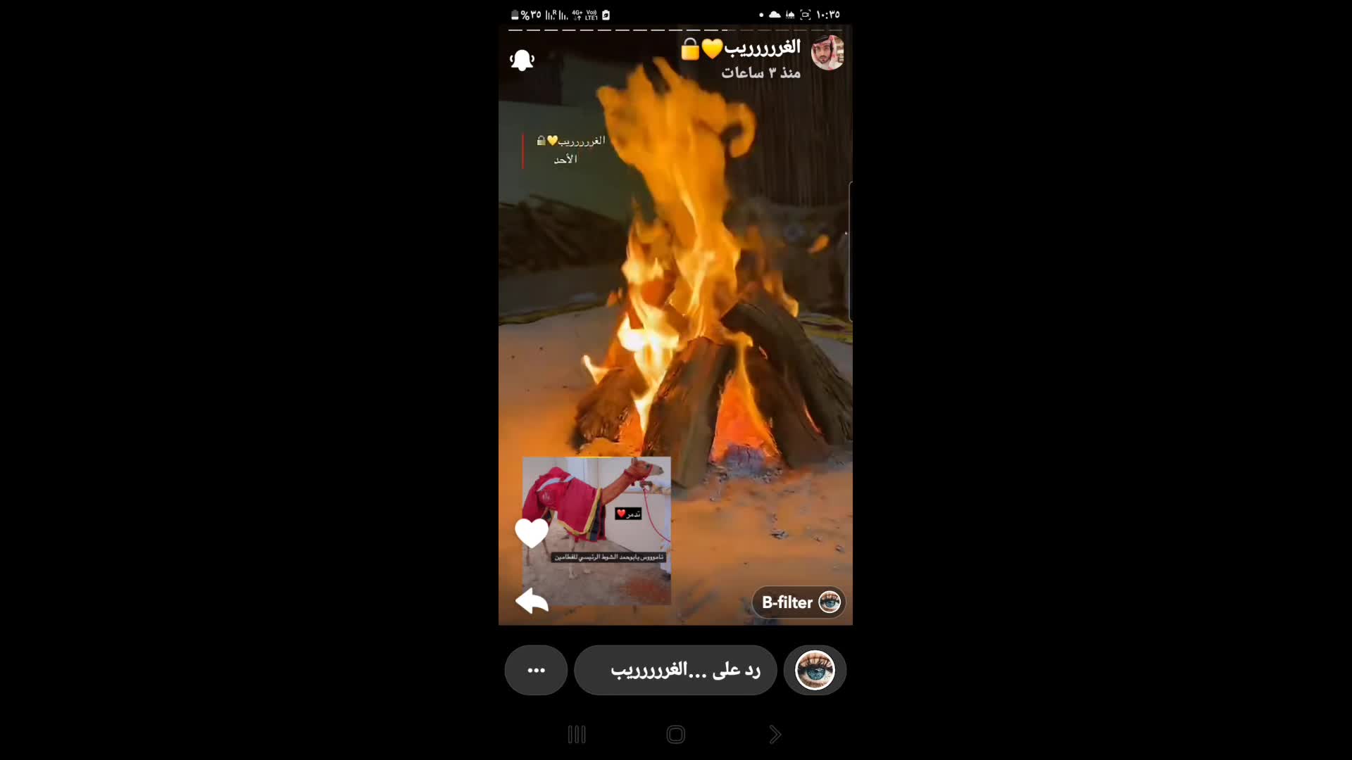 حطب المعجزة الفاخر الوزن 10كيلو - 5