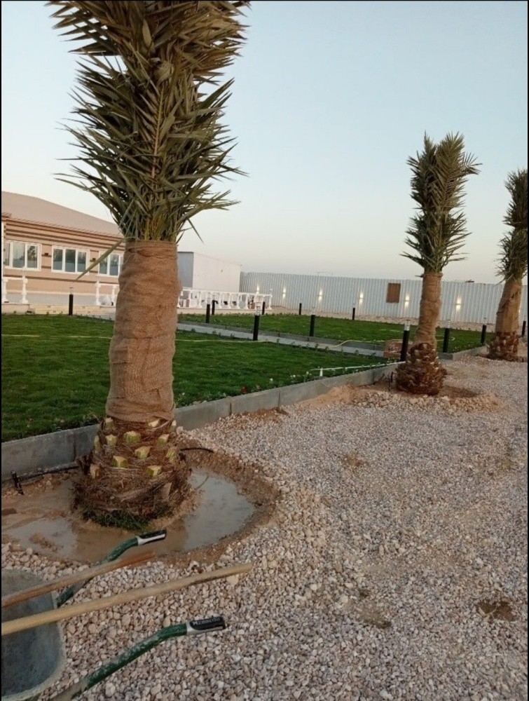 مزراع - 2