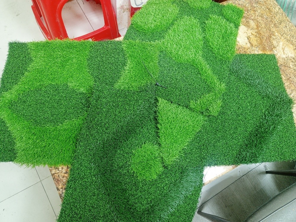 Green Carpet & Decor - 12