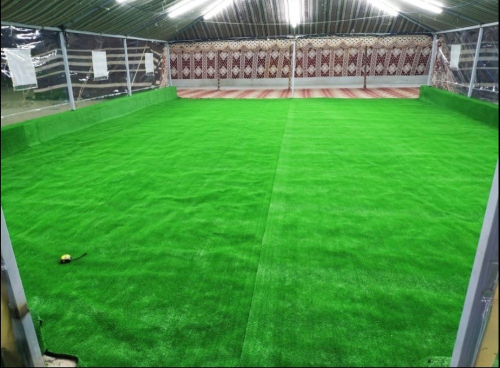 Green Carpet & Decor - 11