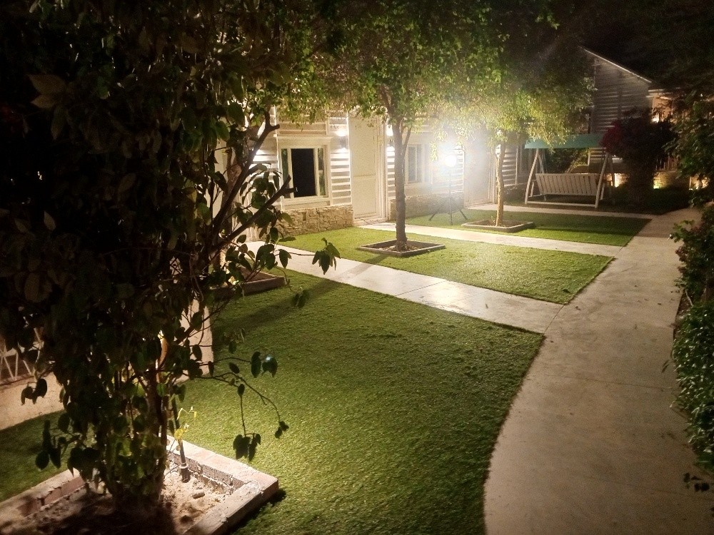 Green Carpet & Decor - 6
