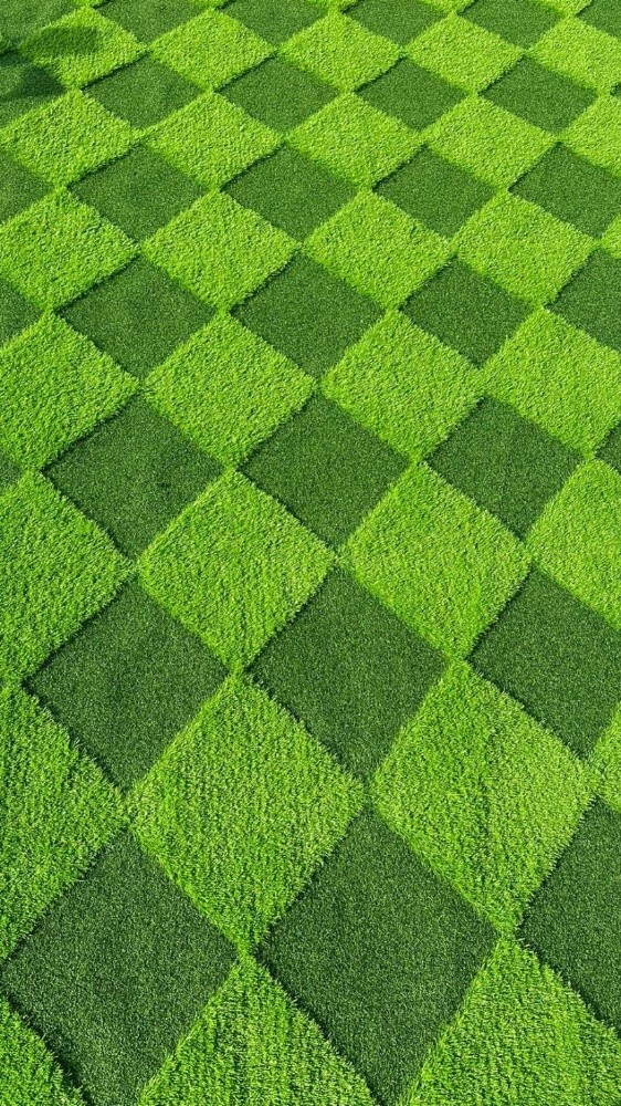 Green Carpet & Decor - 9