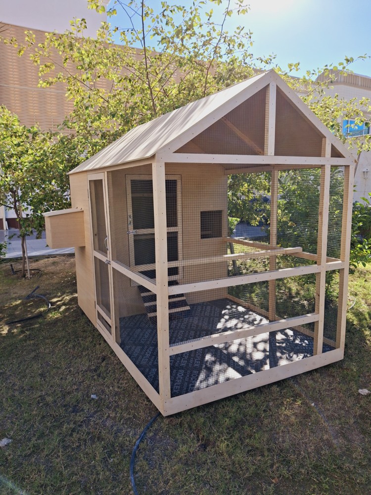 New cage  - 2