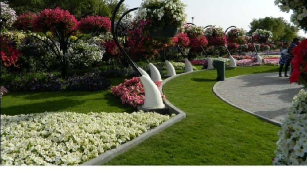 نخيل - 1