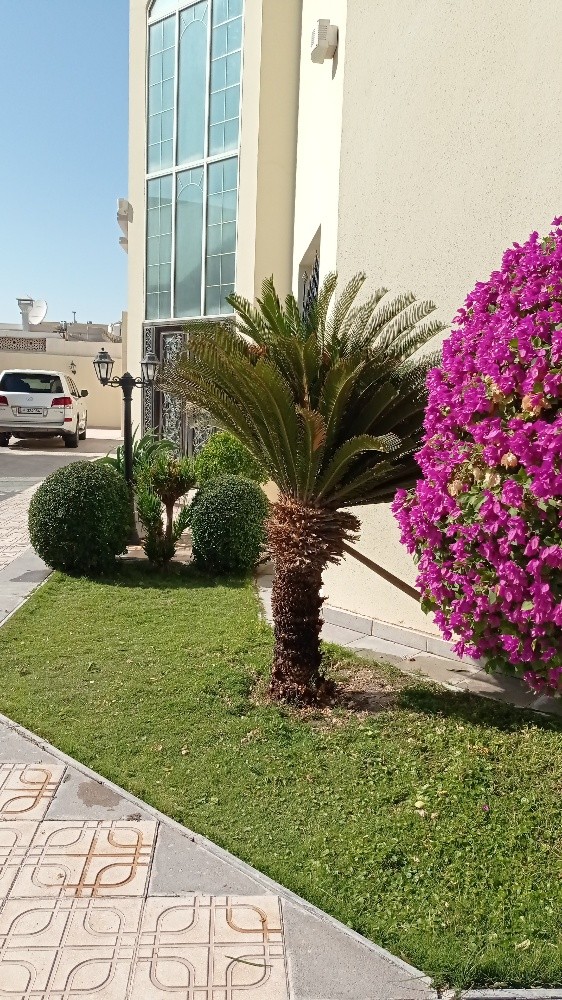 عمل الديكور - 1